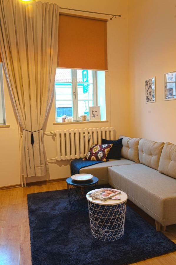Apartament Ducha No'7 Stary Toruń Dış mekan fotoğraf